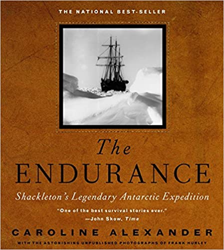 The Endurance cover image