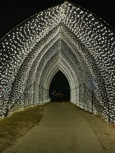 Photo of crystal tunnel at Lightscape