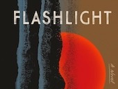 Cover image for the book Flashlight