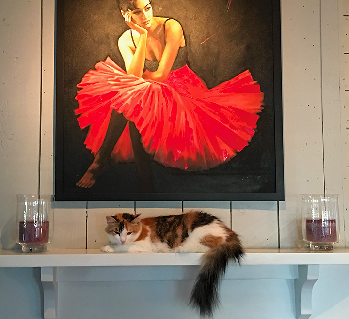 Photo of Leila sleeping on the fireplace mantel. A striking painting of a red ballet dance is on the wall above the mental.