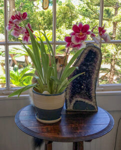 Photo of Leila hiding behind a purple orchid.